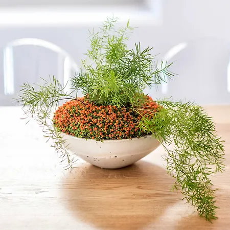 Skyfall - Adults Only Pyrgos Kallistis