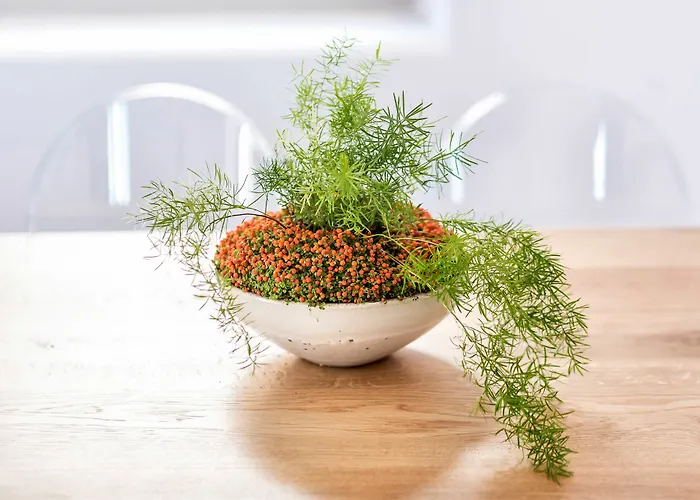 Skyfall - Adults Only Pýrgos